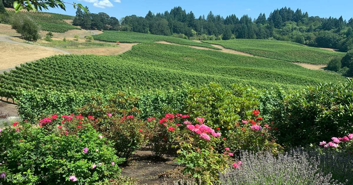 willamette valley wine