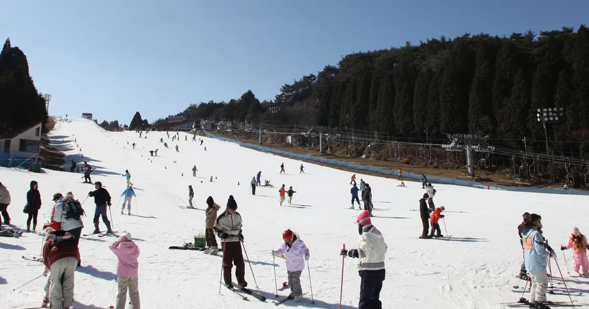 Family Snow Day in Rokko Snow Park in Osaka, Japan