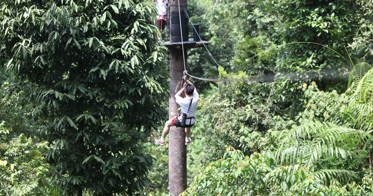 Skytrex Adventure In Langkawi Malaysia Klook Uk
