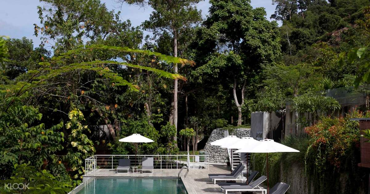 2d1n Belum Rainforest Resort Experience In Perak Malaysia Klook Malaysia