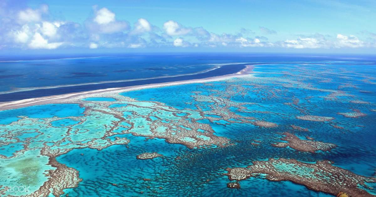 Great Barrier Reef Scenic Flight And Cruise Day Tour In Whitsundays