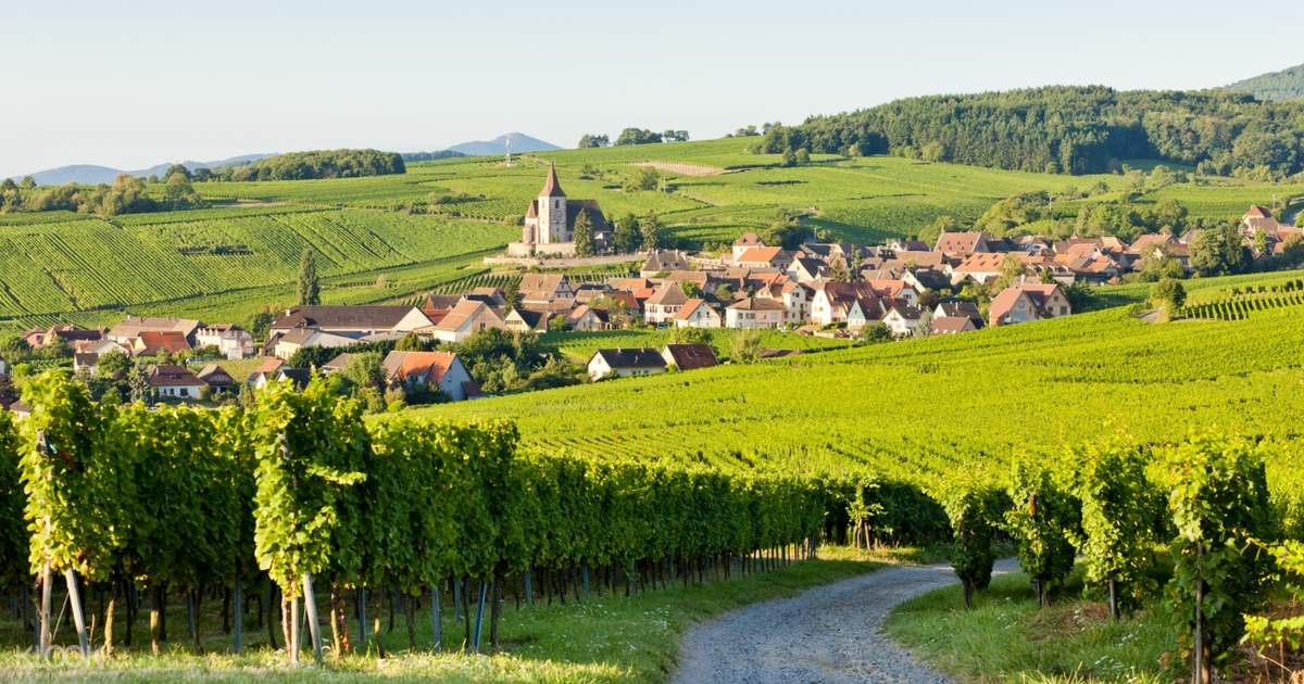 wine tours in burgundy