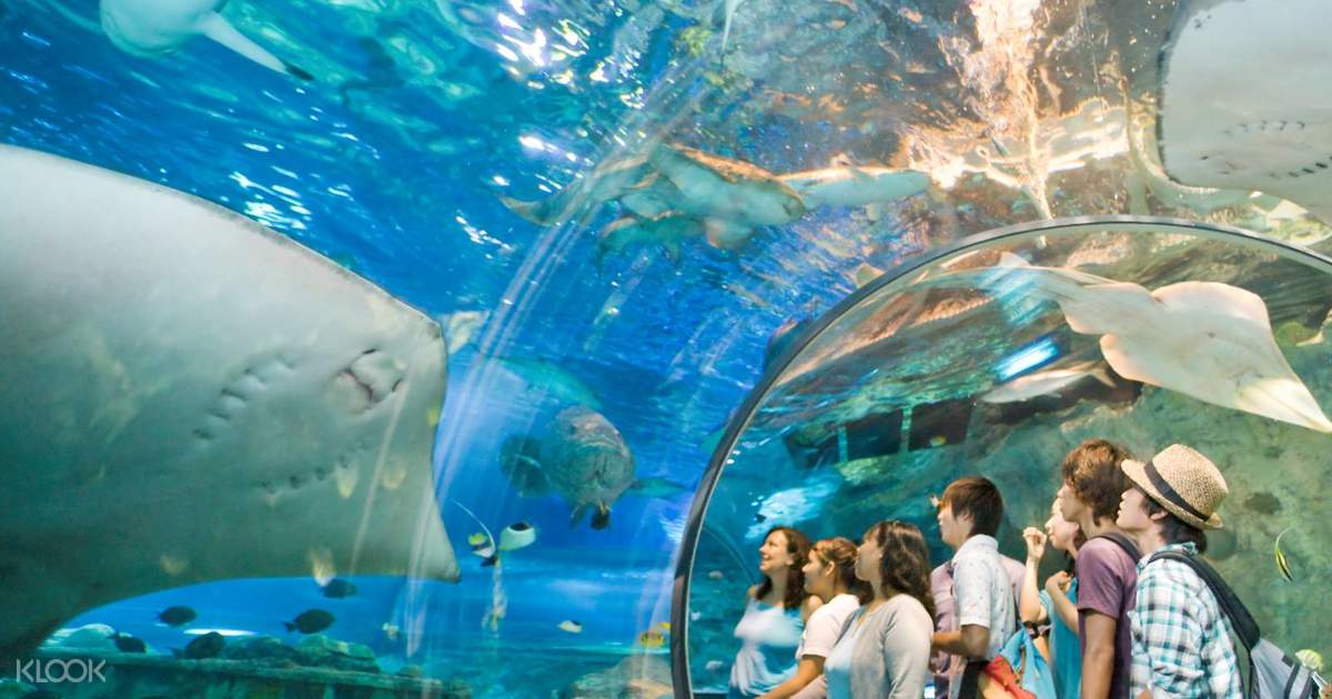美国关岛海底世界水族馆海底晚餐体验 Klook客路中国