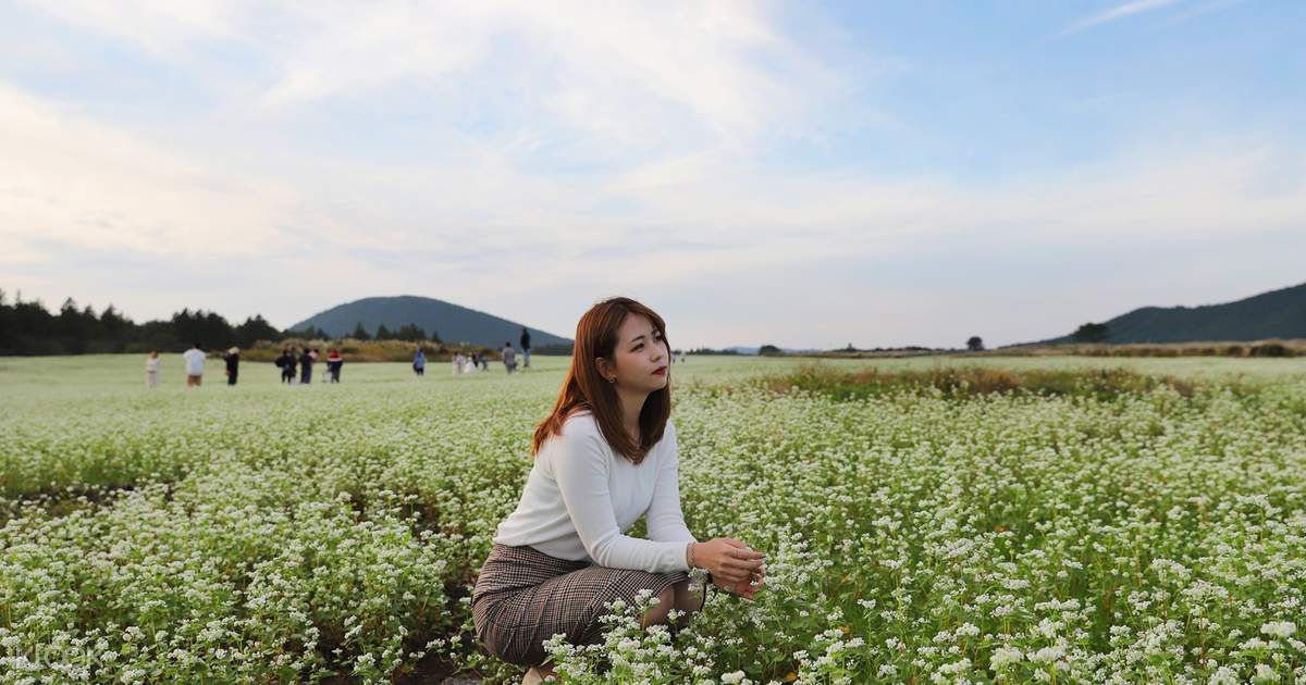 Chungchobat Jeju Farm Ticket