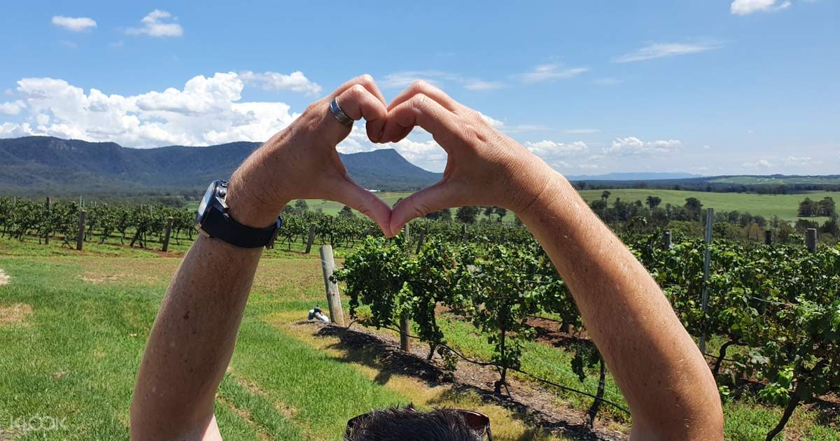 Half Day Hunter Valley Wine Sampling Tour Best time to visit hunter region? half day hunter valley wine sampling tour