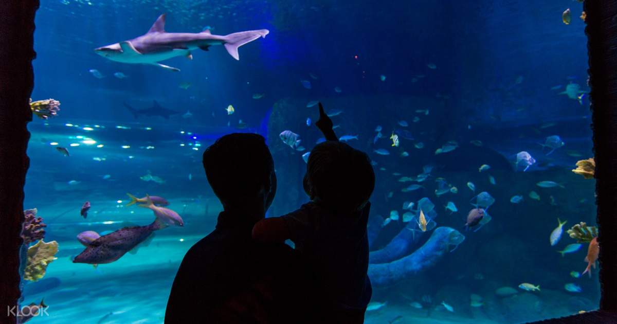 Sea Life Paris Aquarium Ticket - Klook Canada
