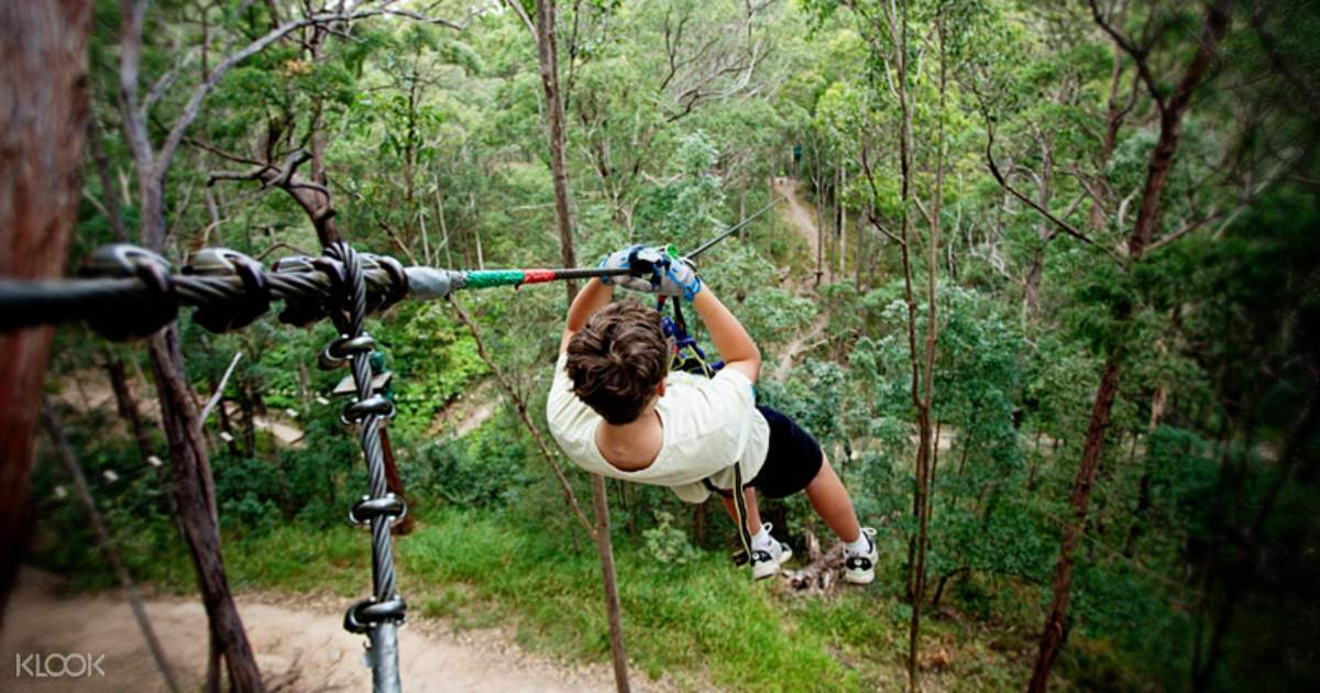 TreeTop Challenge at Tamborine Mountain from Gold Coast