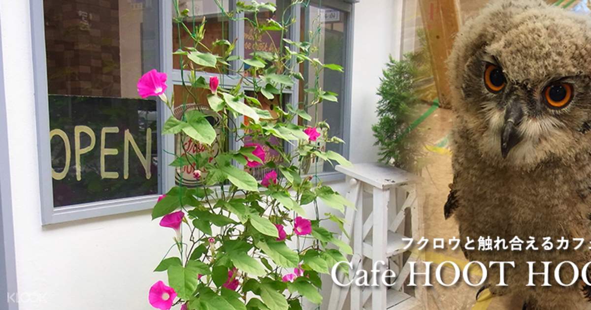 Tokyo Owl Cafe Hoot Hoot