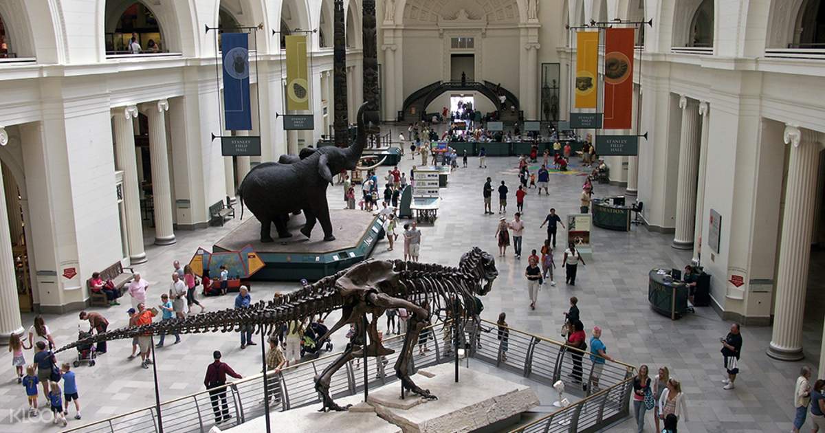The Field Museum Admission Ticket in Chicago