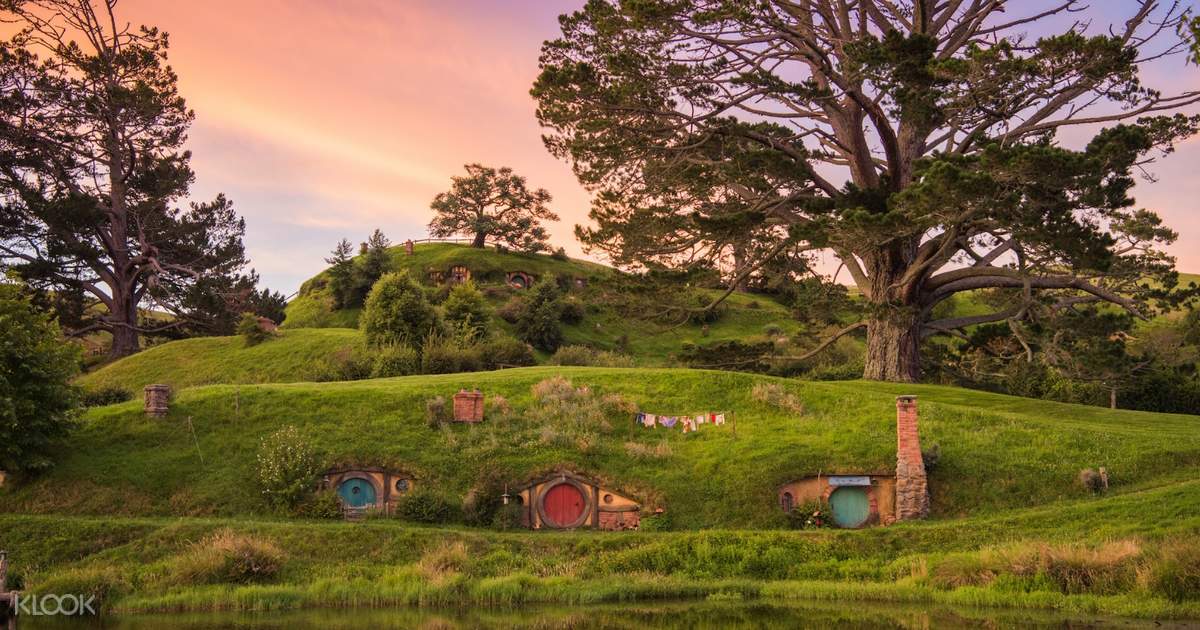 promo code for hobbiton tours