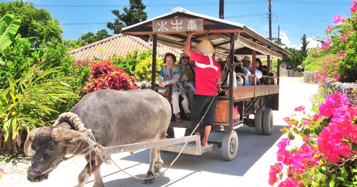 Taketomi Island Trip in Okinawa, Japan - Klook