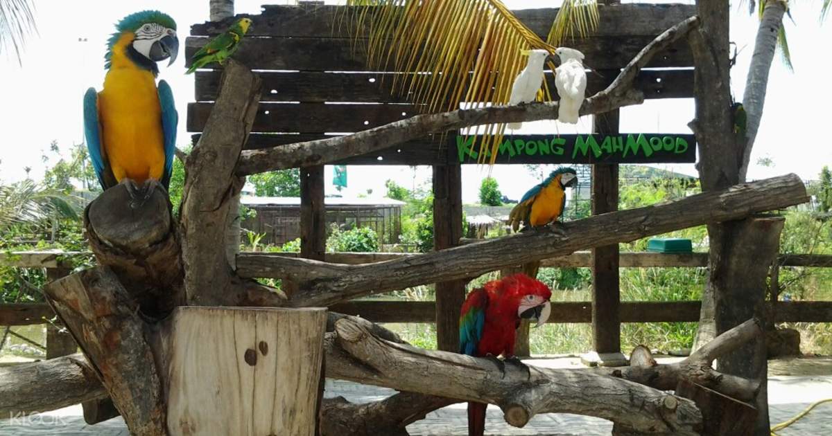 Farm In The City Discount Ticket In Malaysia Klook Singapore