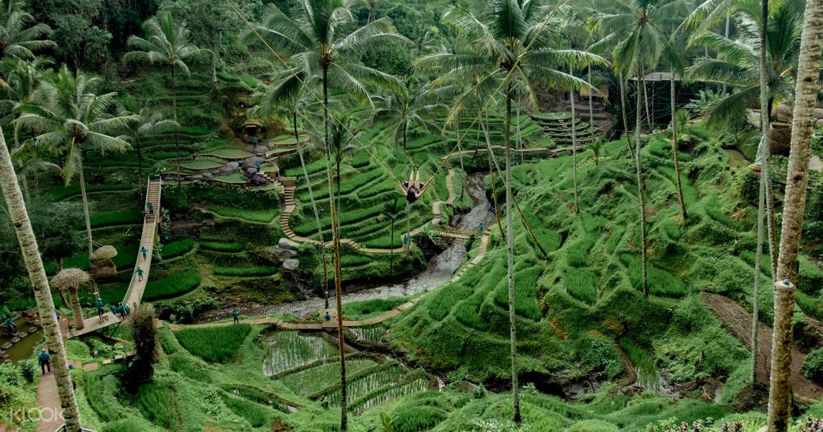 Alas Harum Swing in Tegalalang Ubud, Indonesia - Klook UK