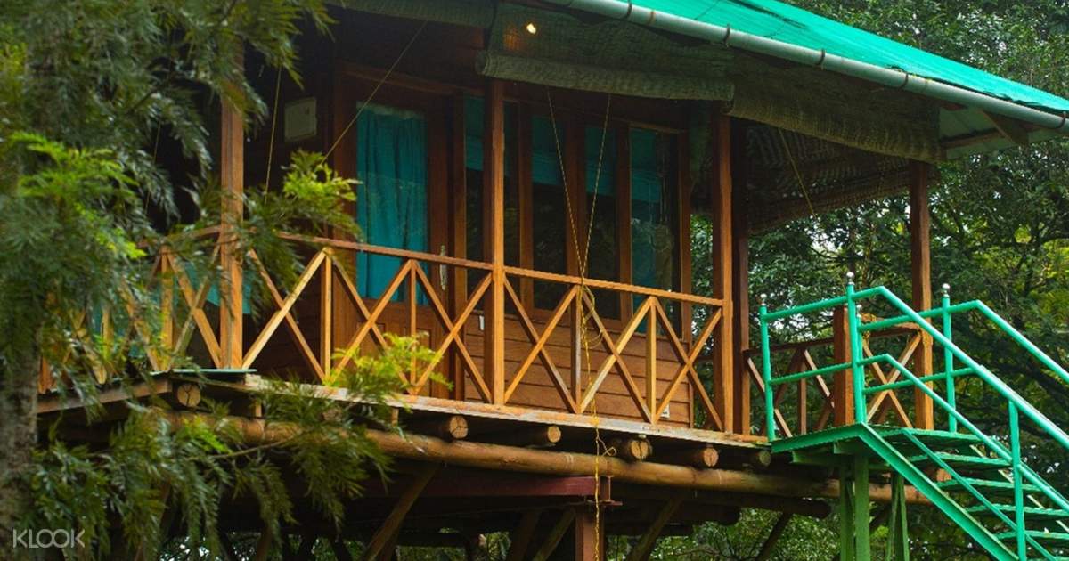 Overnight Tree House Stay In Munnar From Cochin Klook Us What is it that you want? overnight tree house stay in munnar