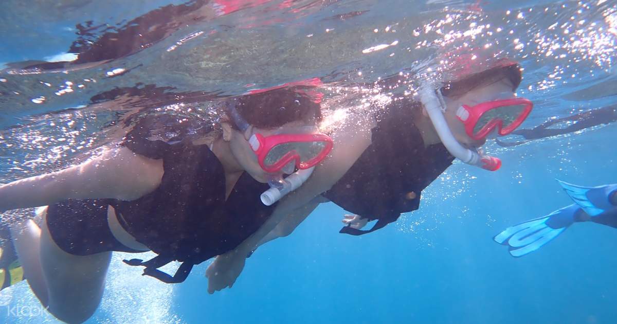 西表島 バラス島シュノーケリング 由布島観光体験の予約 Klook クルック