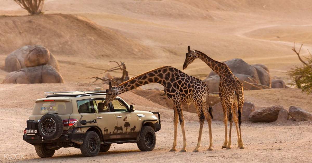Al Ain Zoo Klook Us