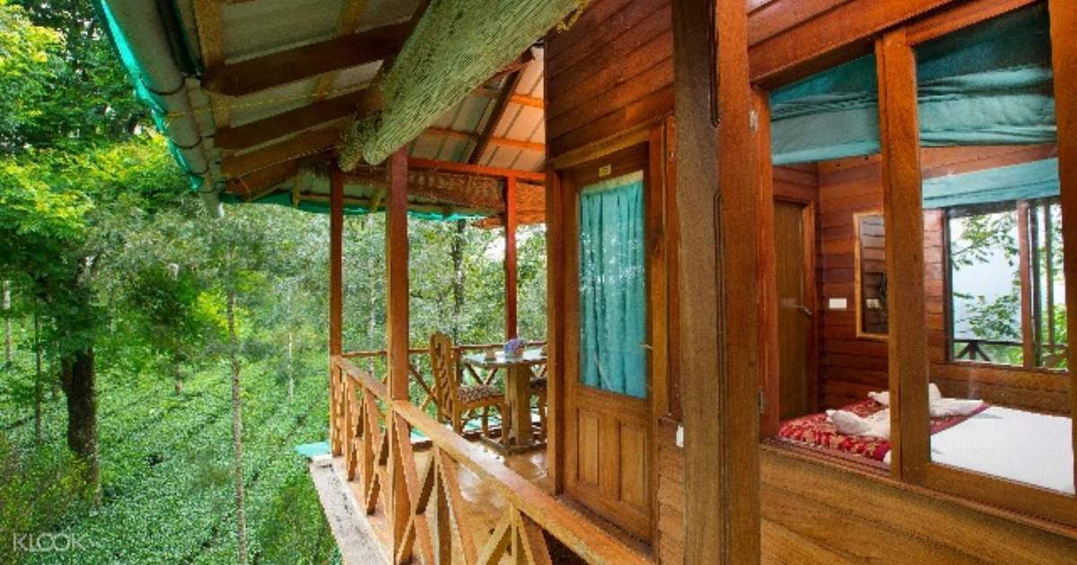 Overnight Tree House Stay In Munnar From Cochin Klook Us Find treehouse cabins in munnar take your vacation to the next level—literally—by staying in a treehouse in munnar. overnight tree house stay in munnar