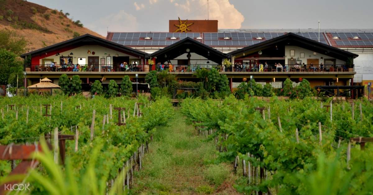 Sula Vineyards With Wine Tasting Day Tour From Mumbai