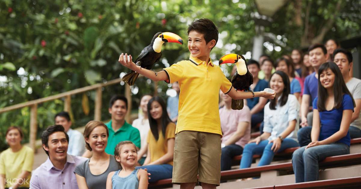 Sale Jurong Bird Park Ticket and Mr. Bean Soya Milk Combo Package in Singapore - Klook Malaysia