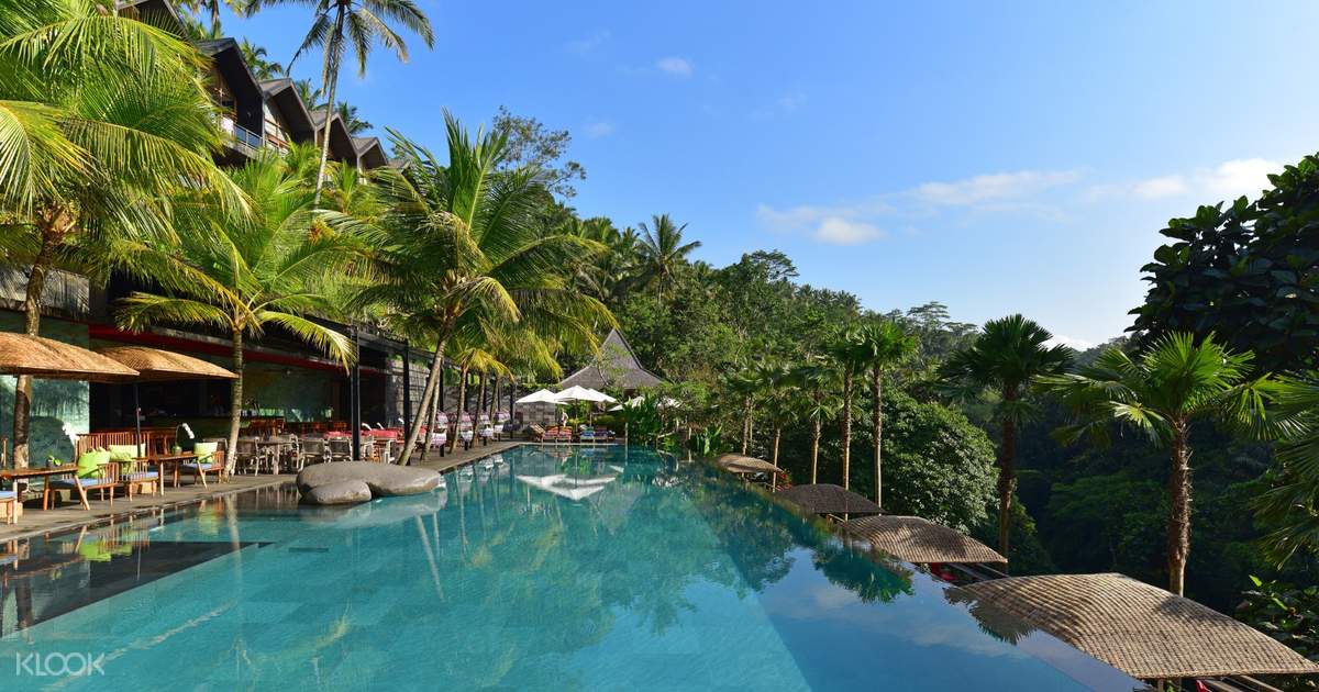 Jungle Fish Pool Bar Di Ubud
