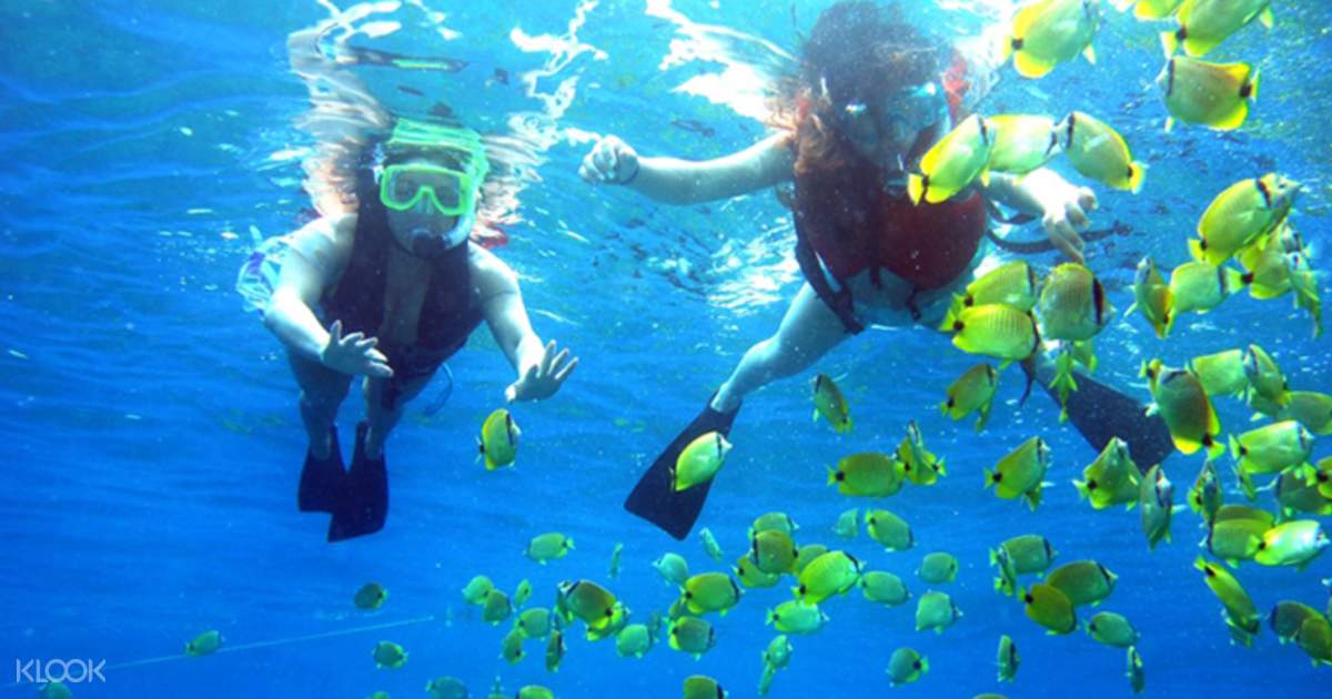 Pulau Payar Snorkeling and Diving Adventures from Langkawi, Malaysia