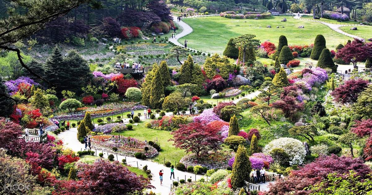 Nami Island Garden Of Morning Calm Amp More Seoul South