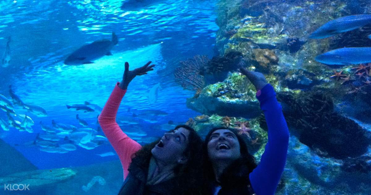 Tiket Antalya Aquarium Dengan Transportasi Hotel