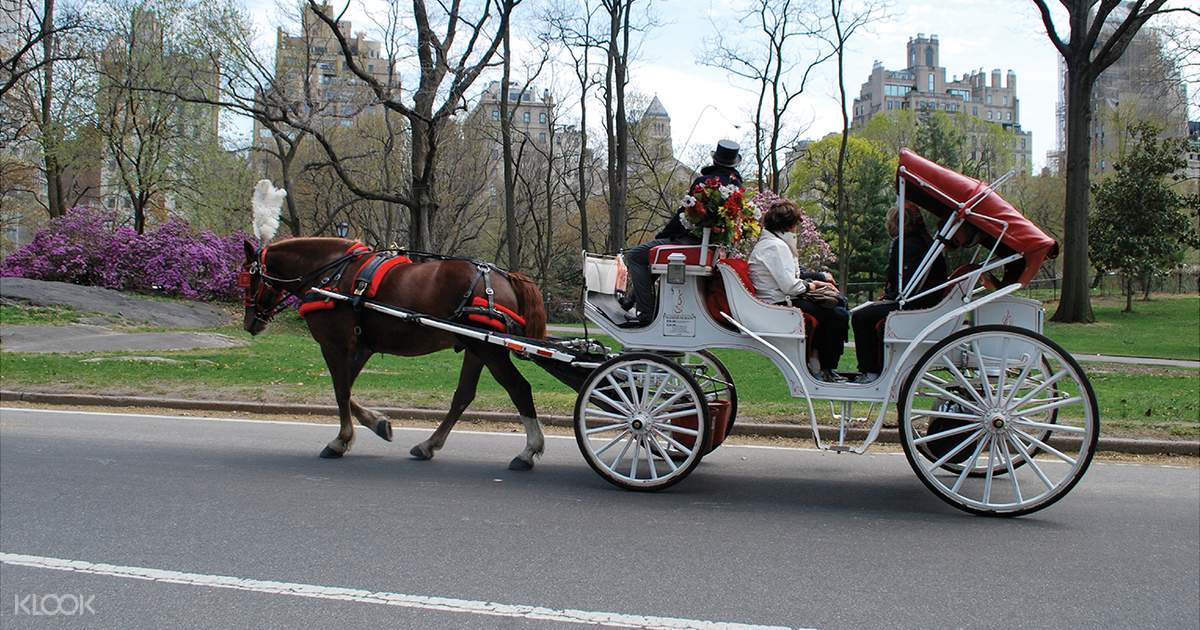 Central Park Horse and Carriage Rides New York City