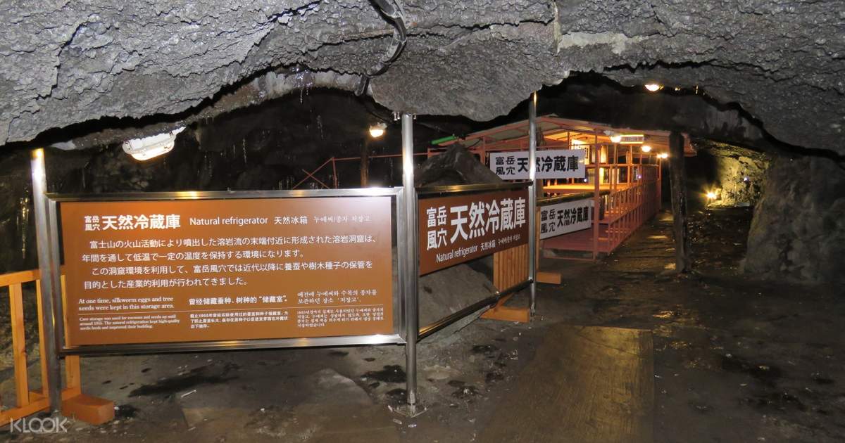 胆小勿入 日本青木原树海禁忌森林健行之旅 Klook客路中国 胆小勿入 日本青木原树海禁忌森林健行之旅 Klook客路中国