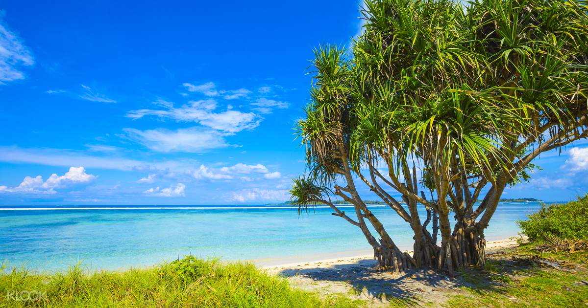 Gili Islands Day Trip on Private Boat - Klook