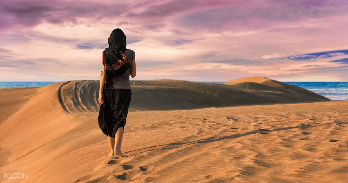 Doha Desert Safari Half Day Tour