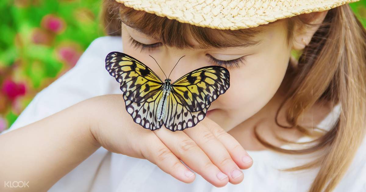 Balitopia Butterfly Park Tickets