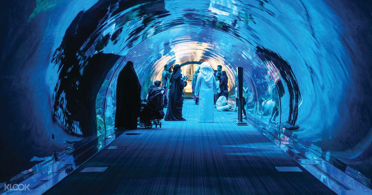 Dubai Aquarium and Underwater Zoo - Klook