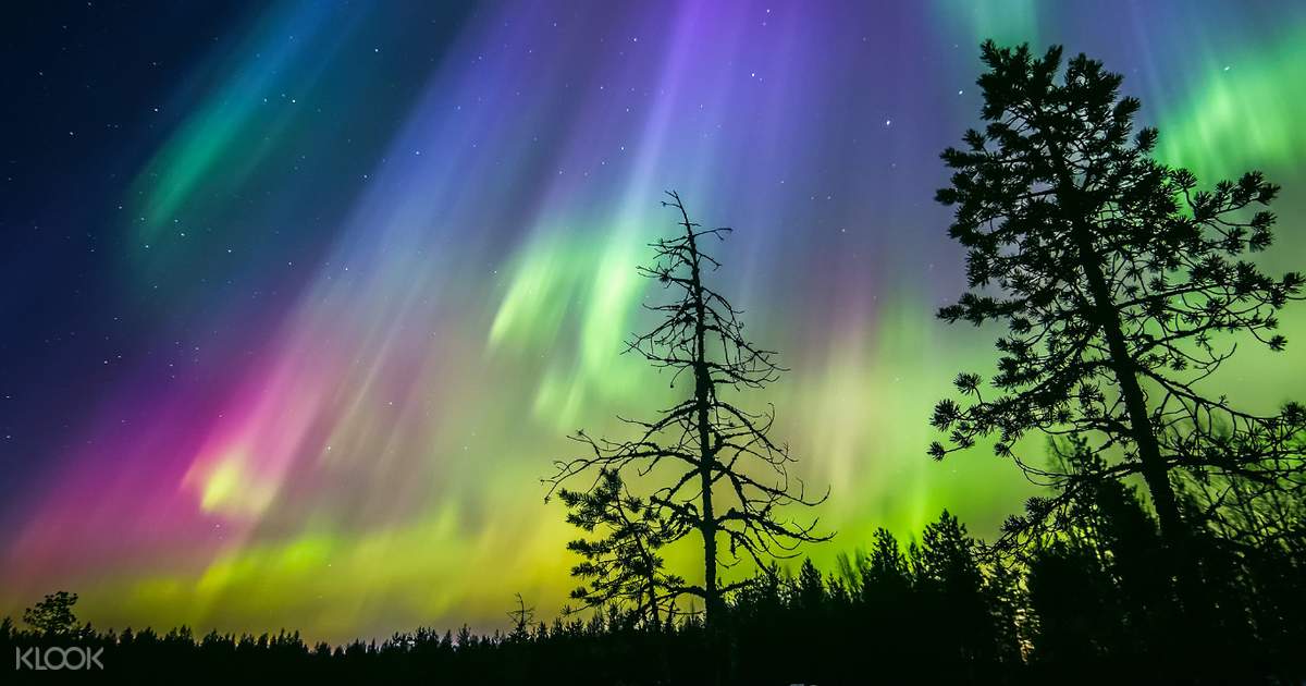 Forest Lake Ice Floating Dan Aurora Borealis Experience Di Rovaniemi Lapland Finlandia Loading… aurora borealis ice floating. forest lake ice floating dan aurora borealis experience di rovaniemi lapland finlandia