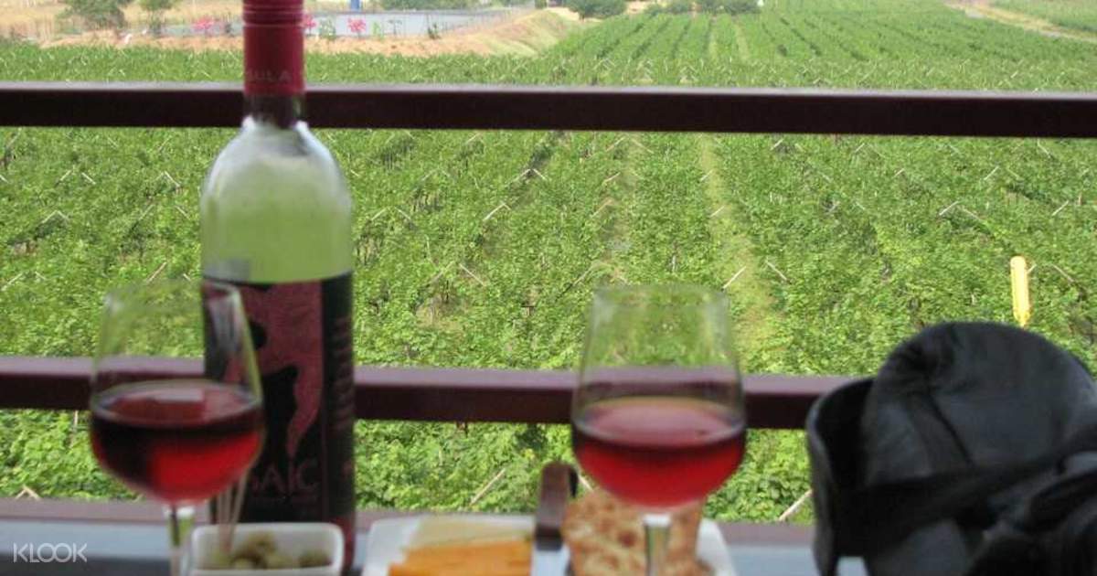 Sula Vineyards With Wine Tasting Day Tour From Mumbai Klook Australia