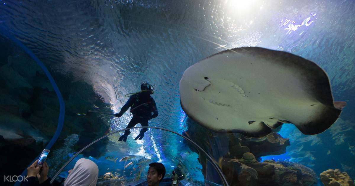 Buy Aquaria Klcc Kuala Lumpur Ticket Online Klook Us