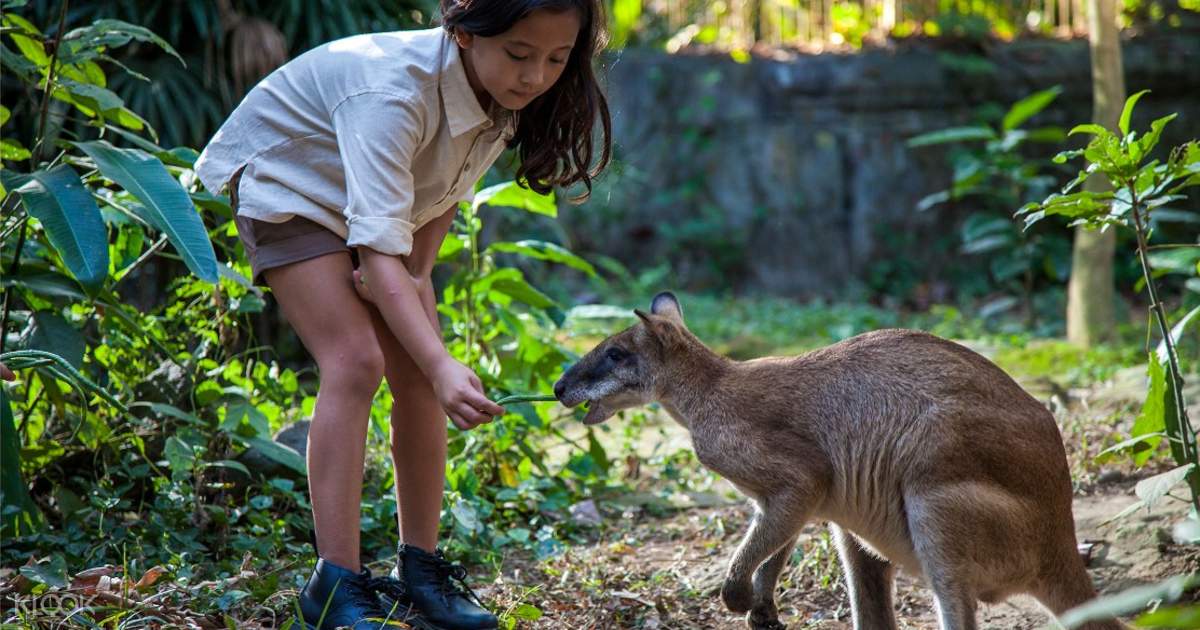 Bali Zoo Discount Tickets