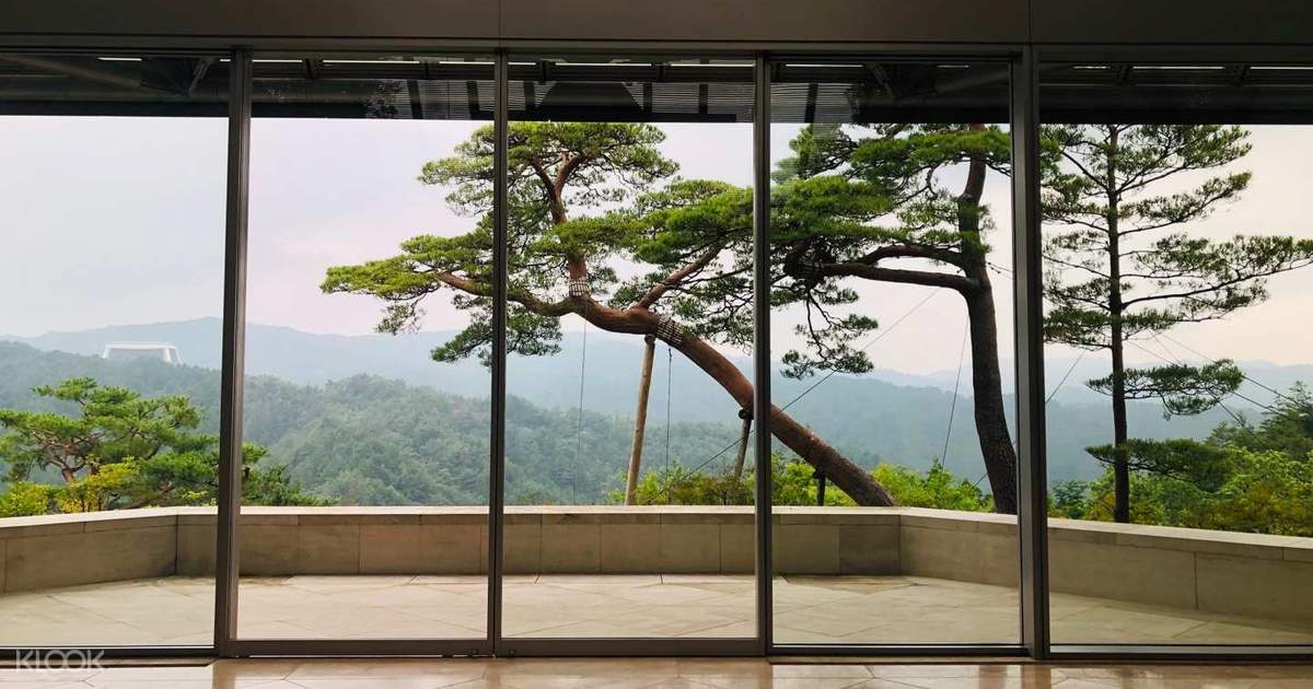 Miho Museum And Nabana No Sato Illumination Tour From Nagoya