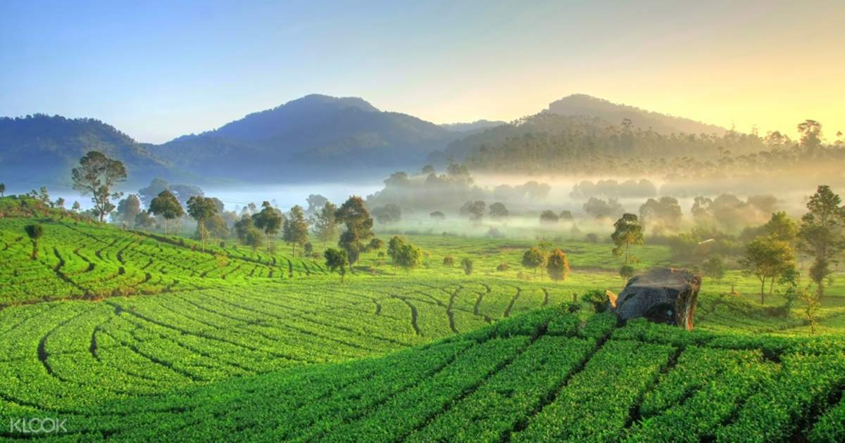 Up To 15 Off Kawah Putih Tour From Bandung Indonesia Klook