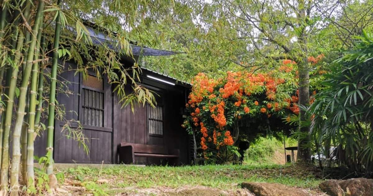 Forest Sound Bath Experience With Guided Fruit Farm Tour In Penang Klook New Zealand