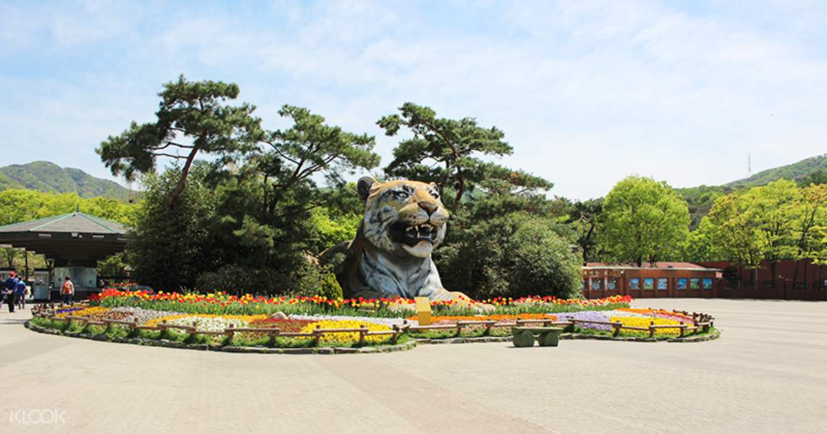 Seoul Zoo Ticket In Gyeonggi Do South Korea
