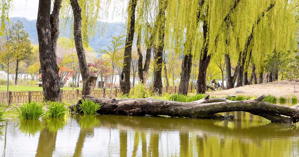 Nami Island Tour Klook Nami Island Tour Klook