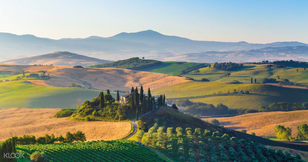 Montalcino Montepulciano And Pienza Tour With Wine Tastings From Florence Italy