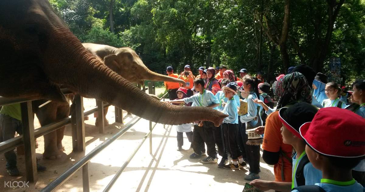 Tiket Masuk Melaka Zoo Di Melaka Malaysia