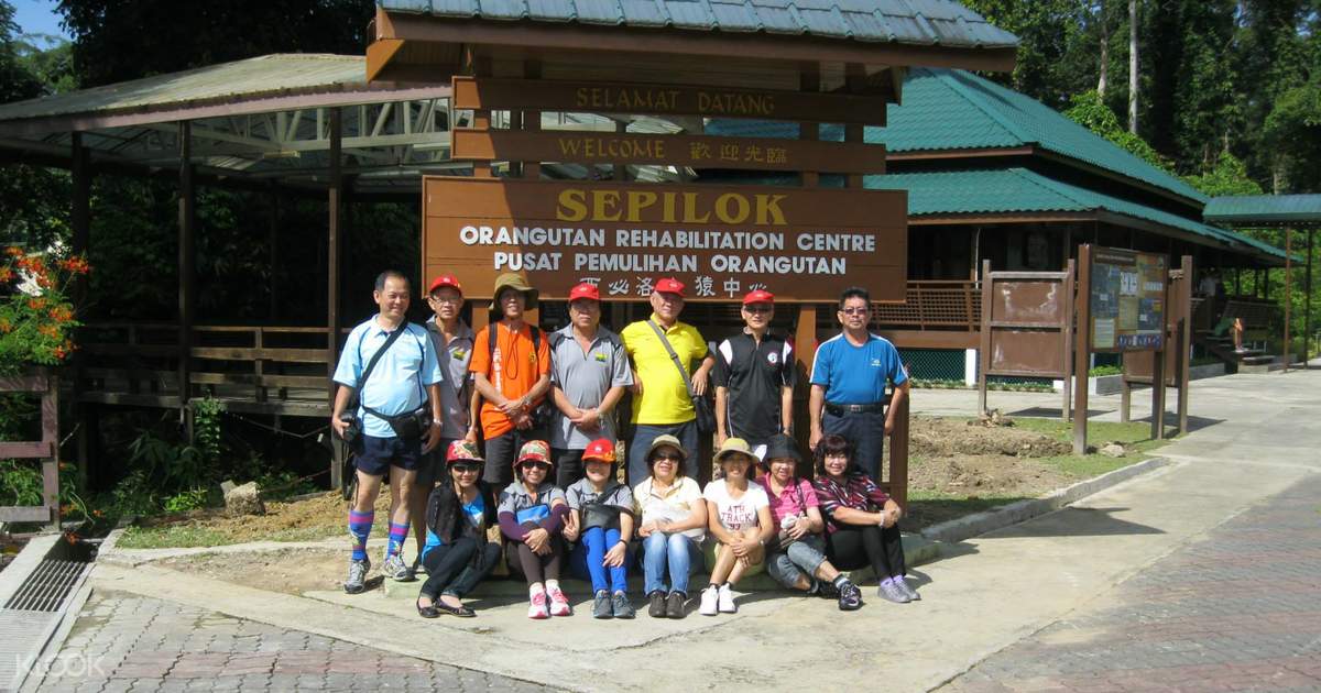 Orang Utan Rehabilitation Rainforest Discovery And Proboscis Monkey One Day Tour From Sandakan Klook Us