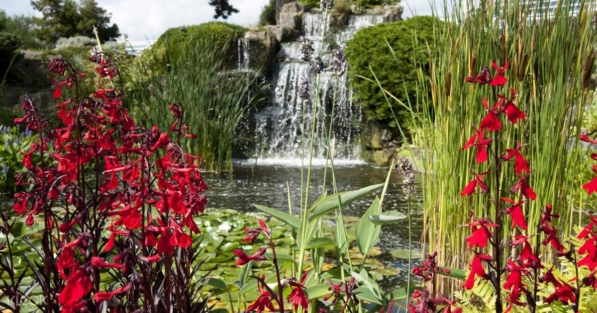 Tiket masuk Kew Gardens dan Kew Palace
