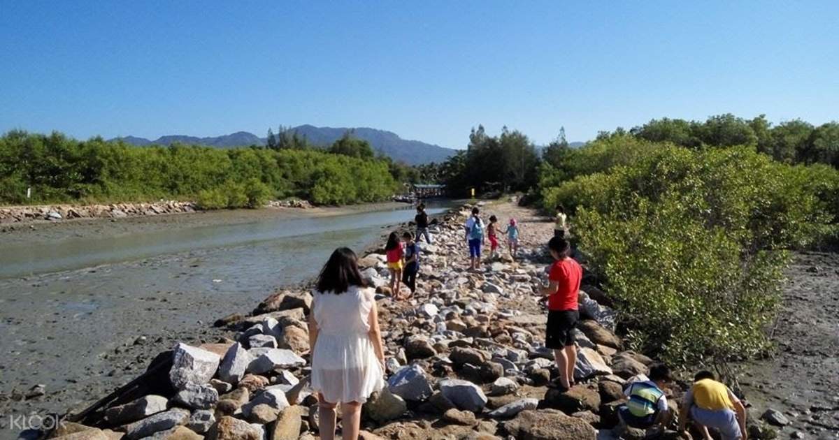 Balik Pulau Batu Ferringhi Join In One Day Tour From Penang Island Klook Us