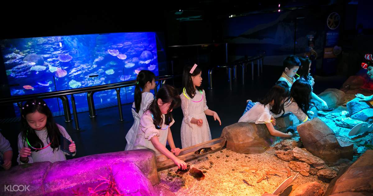 SEA LIFE Aquarium Admission Ticket - Klook