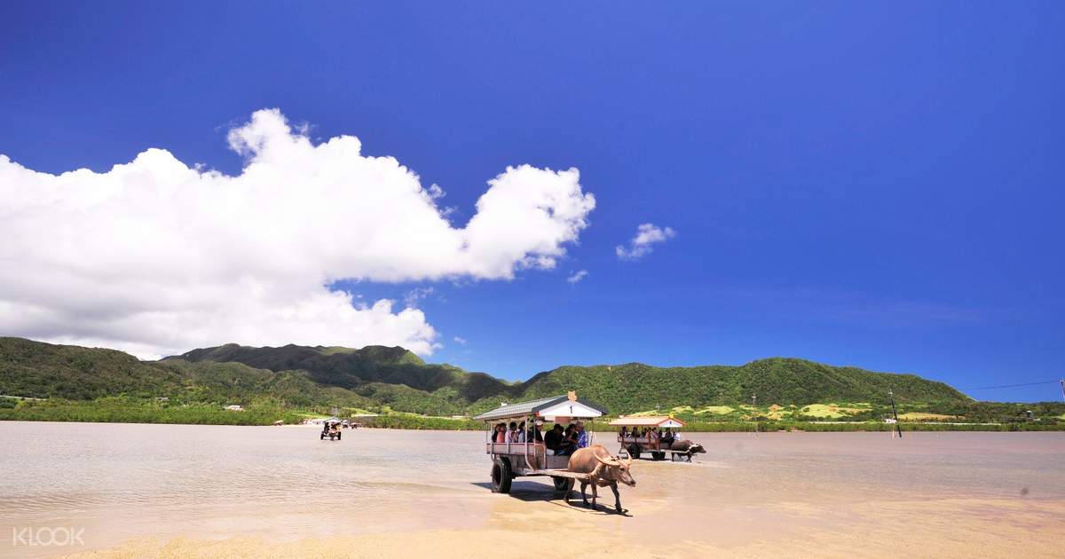 Iriomote, Yubu, Kohama, and Taketomi Islands Day Trip in