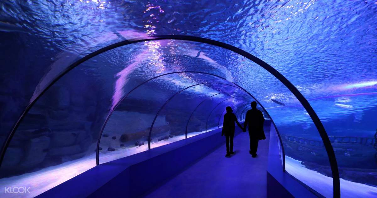 Tiket Antalya Aquarium Dengan Transportasi Hotel